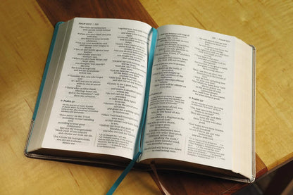 NIV, Personal Size Bible, Large Print, Leathersoft, Teal/Gold, Red Letter Edition, Comfort Print
